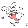 バニーニ
