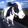 ひじり