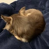 通りすがりの前歯