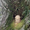 おりぴぽ