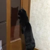 はる