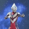 騎士
