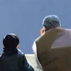 だーまつ
