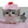 grrrmeow