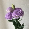 Renya