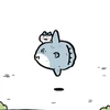 ほちわれ
