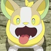イヌヌワンパチ