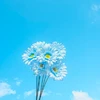 blueSea_