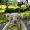 taro.teddy
