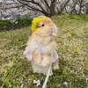 ねぷ
