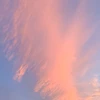 yy