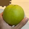 iko