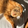 あり