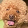らんまる