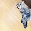 のん