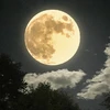 luna