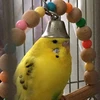ケツマロ