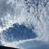 もこ