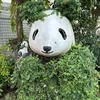 PTA代表の人