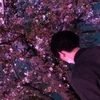 しゅーおー
