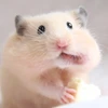 ゆじゅ