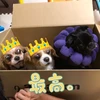 くーたさん