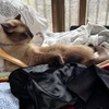 らぶみ