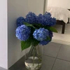 紫陽花