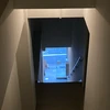 煮卵