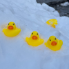 Quack