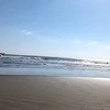チッチ10月