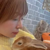 ひょっこ