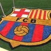 KozyBlaugrana