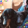 れいこ