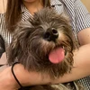 りさ