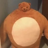 donbear