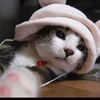 のん