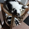 まさむね