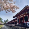 yuusuke