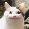 さらさら