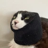健忘