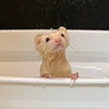 つばき