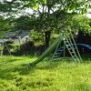 夏