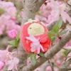 ななな