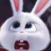 のき