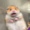 こは