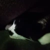 たかゆき