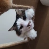 userkbordt9qTq9