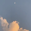 碧