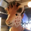 ほうとくたいし